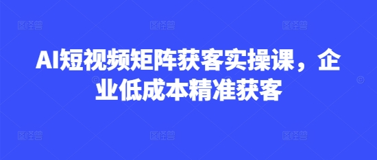 AI短视频矩阵获客实操课，企业低成本精准获客-天星云网创