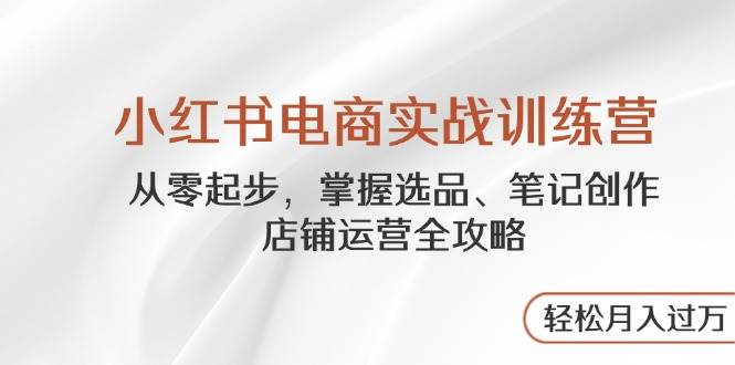 小红书电商实战训练营，从零起步，掌握选品、笔记创作、店铺运营全攻略…-天星云网创