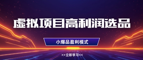 虚拟项目高利润选品方法，做好单店利润1W+，可多店倍增利润-天星云网创