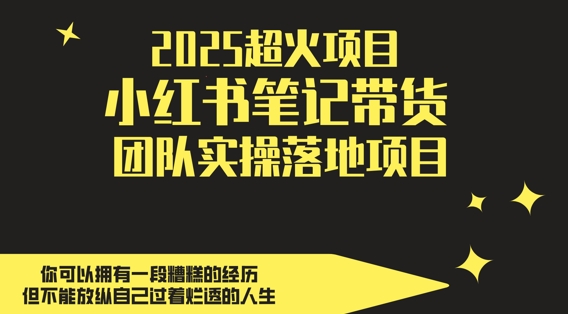 2025超火项目，副业最佳选择，小红书笔记带货团队实操落地项目，，轻松日入5张-天星云网创