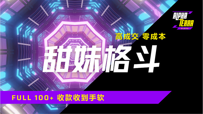 高成交零成本，售卖甜美格斗课程，谁发谁火，加爆微信，日入1000+收款…-天星云网创