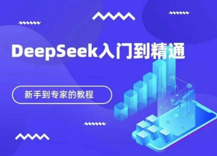 DeepSeek快速从入门到精通，新手的保姆级教程-天星云网创