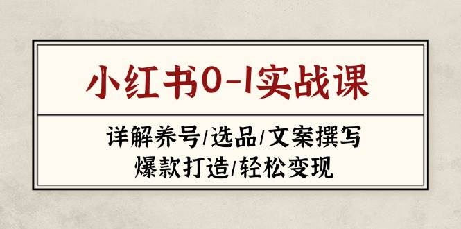 小红书0-1实战课(2023-2025-天星云网创