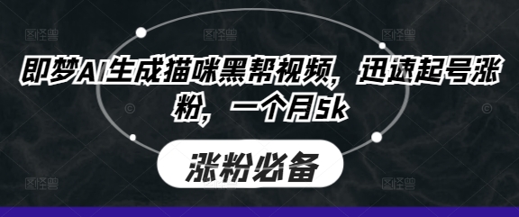 即梦AI生成猫咪黑帮视频，迅速起号涨粉，一个月5k-天星云网创