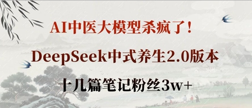 AI中医大模型杀疯了！DeepSeek中式养生2.0版本，十几篇笔记粉丝3w+-天星云网创