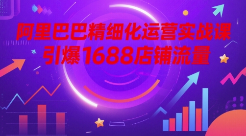 阿里巴巴精细化运营实战课，引爆1688店铺流量-天星云网创