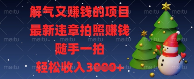 解气又挣钱的项目，最新违章拍照挣钱，随手一拍，轻松收入数张【揭秘】-天星云网创