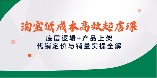 淘宝低成本高效起店课，底层逻辑+产品上架，代销定价与销量实操全解-天星云网创