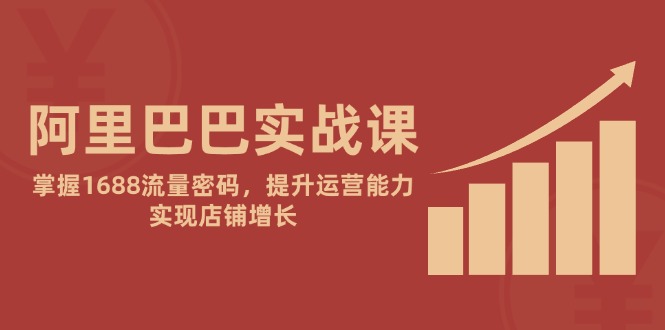 阿里巴巴实战课：掌握1688流量密码，提升运营能力，实现店铺增长-天星云网创