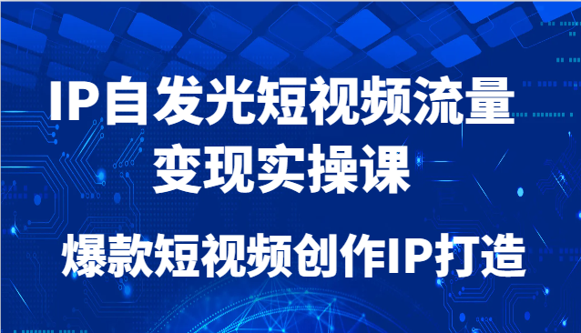 IP自发光短视频流量变现实操课，爆款短视频创作IP打造-天星云网创
