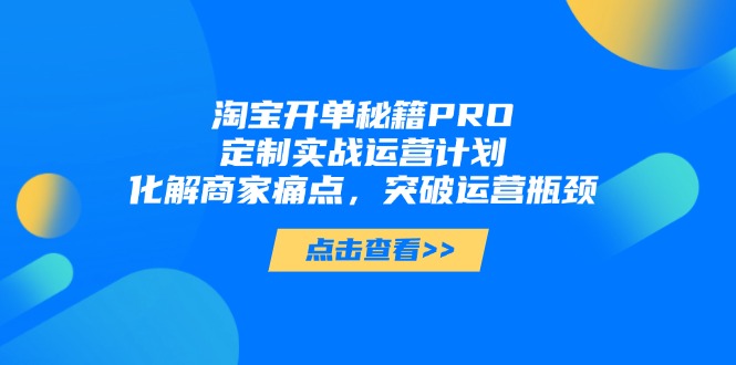 淘宝开单秘籍PRO，定制实战运营计划，化解商家痛点，突破运营瓶颈-天星云网创