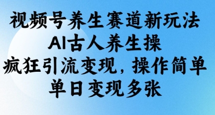 视频号养生赛道新玩法，AI古人养生操，疯狂引流变现，操作简单，单日变现多张-天星云网创