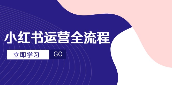 小红书运营全流程，爆款选题文案，视频制作技巧，进阶达人宝典-天星云网创