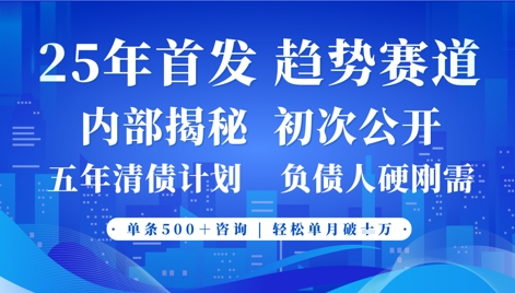 2025年首次公开，真正的事业型赛道，客咨不断，单月轻松破W-天星云网创