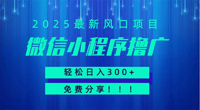 微信小程序撸广，最新风口项目，日入300+ 免费分享 可批量操作 小白可…-天星云网创