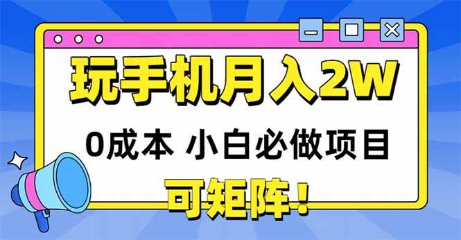 玩玩手机月入20000+，0成本小白必做项目，可矩阵-天星云网创