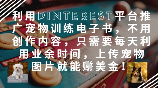 利用Pinterest平台推广宠物训练电子书，不用创作内容，只需要每天利用业余时间，上传宠物图片就能挣美金!-天星云网创