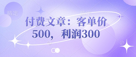 付费文章：客单价500，利润300-天星云网创