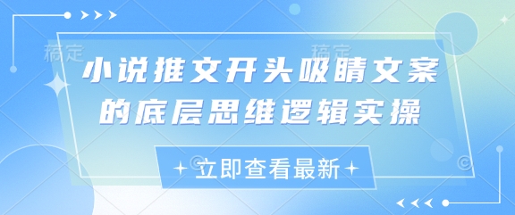 小说推文开头吸睛文案的底层思维逻辑实操-天星云网创