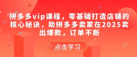 拼多多vip课程，零基础打造店铺的核心秘诀，助拼多多卖家在2025卖出爆款，订单不断-天星云网创