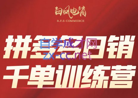 白凤电商·拼多多日销千单训练营(更新5月)-天星云网创