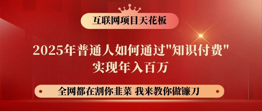 网创项目终点站-镰刀训练营超级IP合伙人，25年普通人如何通过“知识付费”年入百万-天星云网创