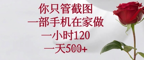 你只管截图，一部手机在家做，苹果安卓都可以，一小时120，一天5张+【揭秘】-天星云网创