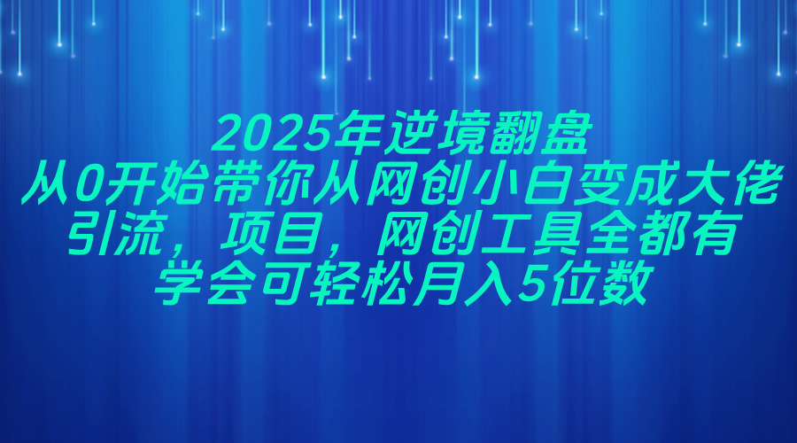 2025年逆境翻盘，从0开始带你从网创小白变成大佬，引流，项目，网创工…-天星云网创