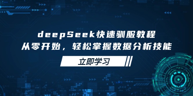 deepSeek快速驯服教程，从零开始，轻松掌握数据分析技能-天星云网创