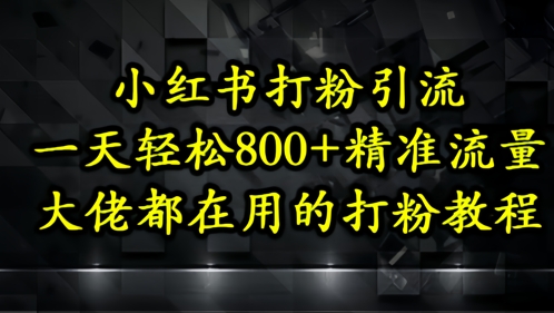 小红书打粉引流，一天轻松500+精准流量，大佬都在用的打粉教程-天星云网创