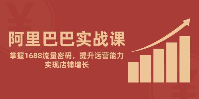 阿里巴巴实战课：掌握1688流量密码，提升运营能力，实现店铺增长-天星云网创