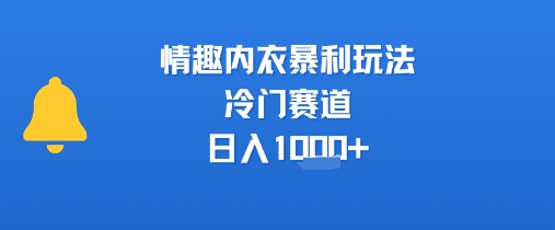 情趣内衣暴利玩法，冷门赛道，日入1k+-天星云网创