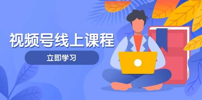 视频号实战课程，轻IP打造与运营技巧，掌握核心方法与策略-天星云网创