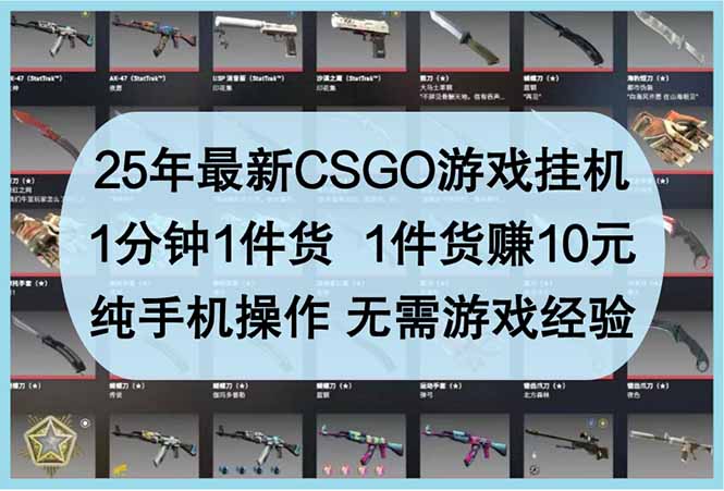 25年最新CSGO游戏挂机，1分钟1件货，1件货赚10元 纯手机操作 无需游戏经验-天星云网创