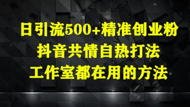 日引流500+精准创业粉，抖音共情自热打法，工作室都在用的方法-天星云网创