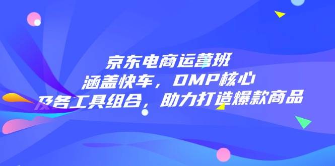 京东电商运营班：涵盖快车，DMP核心及各工具组合，助力打造爆款商品-天星云网创