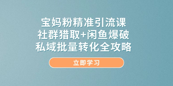 宝妈粉精准引流课，社群猎取+闲鱼爆破，私域批量转化全攻略-天星云网创