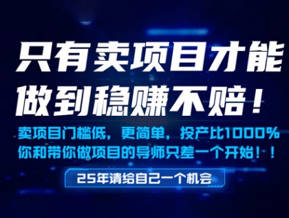 只有卖项目才能做到稳挣不赔，门槛低，更简单，你也可以年入百个W【揭秘】-天星云网创