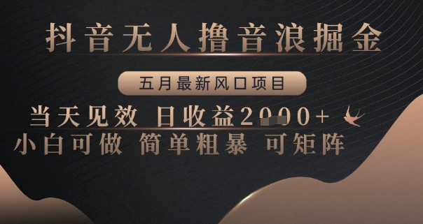 抖音无人撸音浪掘金，五月最新风口项目，当天见效，日收益多张，小白可做简单粗暴可矩阵【揭秘】-天星云网创
