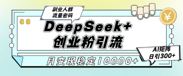 DeepSeek+创业粉精准引流，全新分享课4.0玩法，AI矩阵日引300+，多种变现方式，稳定月入1W-天星云网创