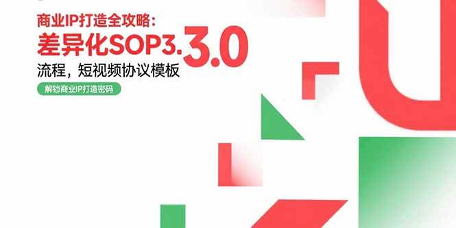 商业IP打造全攻略：差异化SOP3.0流程，短视频协议模板，婚恋项目实战案例-天星云网创