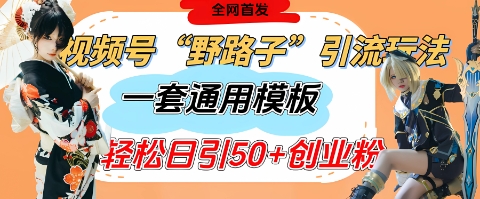 视频号“野路子”玩法，评论区疯狂截流，一套模板单日单号引流50+创业粉-天星云网创