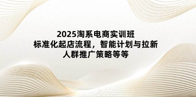 2025淘系电商实训班：标准化起店流程，智能计划与拉新，人群推广策略等等-天星云网创