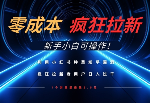 利用小红书种草知乎漏洞，零成本疯狂拉新日入数张，新手小白可操作-天星云网创
