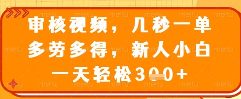 审核视频，几秒一单，多劳多得，新人小白一天轻松3张【揭秘】-天星云网创