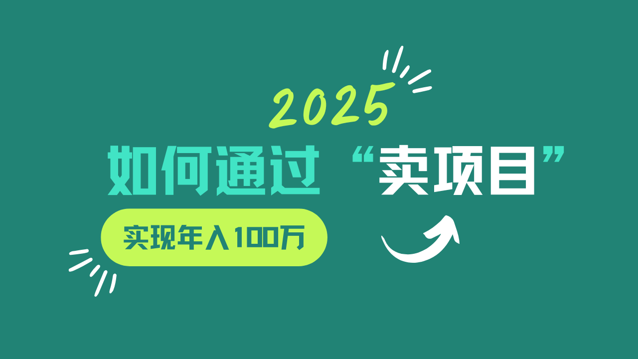 2025年如何通过“卖项目”实现年入100w-天星云网创
