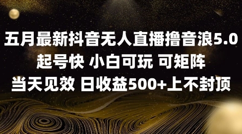 2025五月最新无人直播撸音浪单日产出5张+实操教程【揭秘】-天星云网创