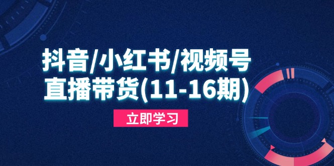 抖音/小红书/视频号/直播带货(11-16期-天星云网创