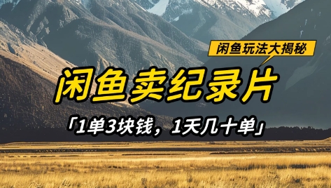 闲鱼卖纪录片1单3块钱，1天几十单，项目稳定有潜力-天星云网创