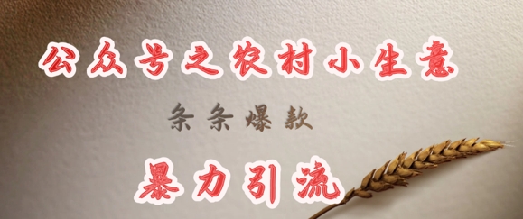 deepseek写农村小项目，条条爆款，暴力引流-天星云网创